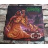 PARASITARIO - Everything Belongs To Death LP (coloured)