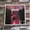 DISTASTE - Agoniepositur LP