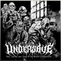 UNDERSAVE - Now Submit Your Flesh To The Masters Imagination CD