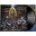 IMMOLATION - Here In After LP