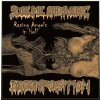 SUBLIME CADAVERIC DECOMPOSITION - Raping Angels In Hell...