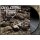 EXCRUCIATING TERROR - Expression Of Pain LP
