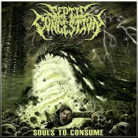 SEPTIC CONGESTION - Souls To Consume CD